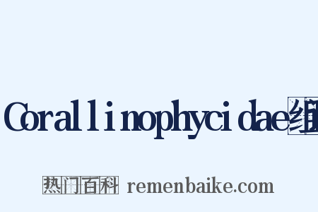 Corallinophycidae组词是什么意思的图片